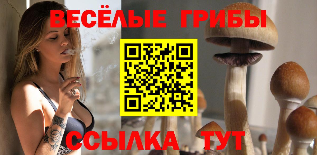 Менделеевск  Псилоцибиновые грибы MAGIC MUSHROOMS  закладки  Галлюциногенные грибы Cubensis  Вход с VPN 